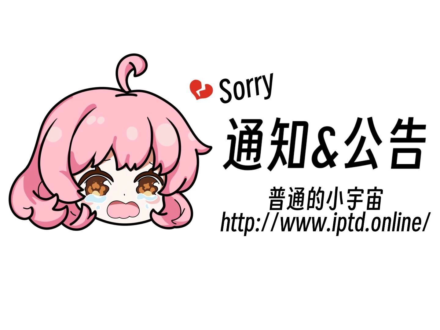 【研究性学习】关于 张艺谋电影“唯美主义”的研究 问卷调查 结果公示